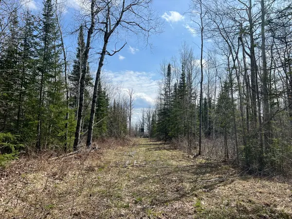 11TBD Gulley RD, Maple, WI 54854