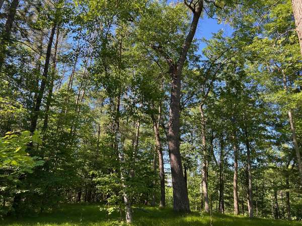 73XX Willow ST E, Webster, WI 54893