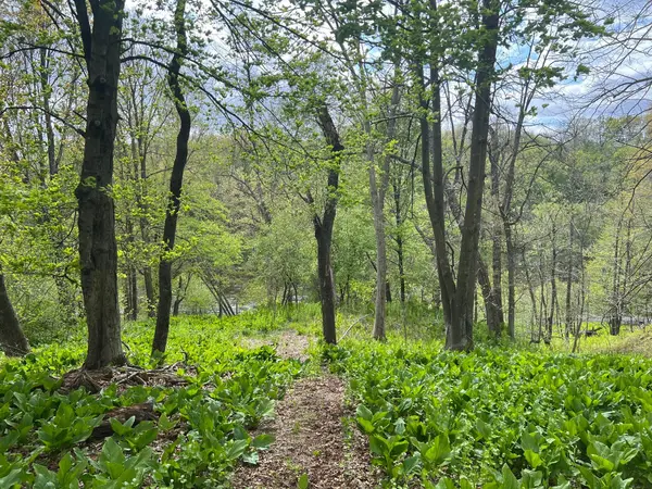 TBD River Heights RD, Menomonie, WI 54751