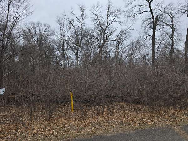 L1,B2 288th AVE NW, Princeton, MN 55398