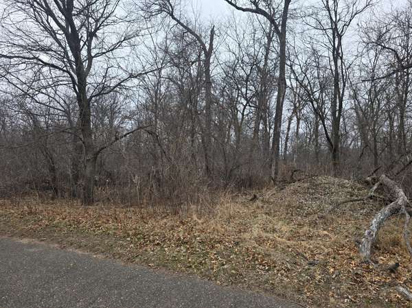 L1,B2 288th AVE NW, Princeton, MN 55398