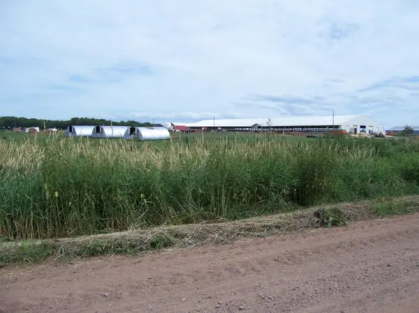 54479 Fairfield AVE, Rush City, MN 55069