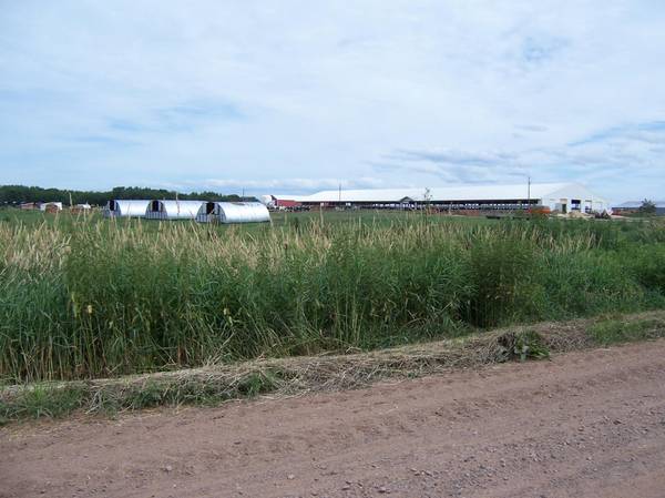54479 Fairfield AVE, Rush City, MN 55069