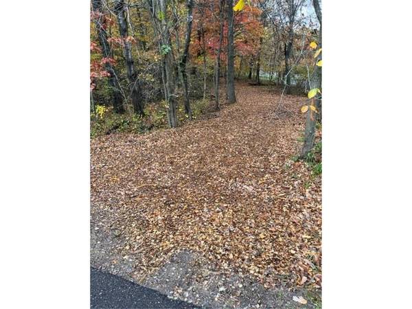 Lot 3 Tiger ST NW, Zimmerman, MN 55398