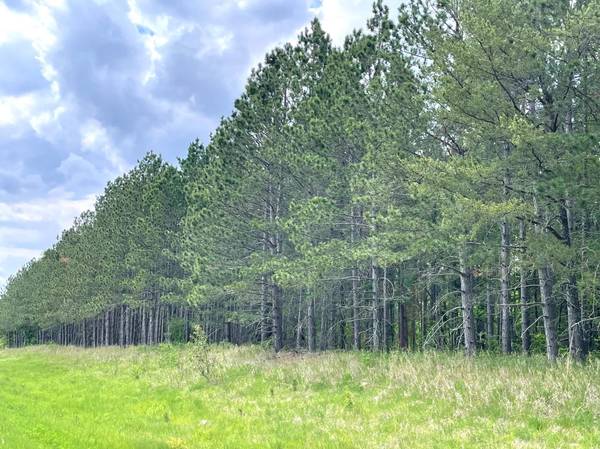 TBD N Plantangenet RD SE, Bemidji, MN 56601