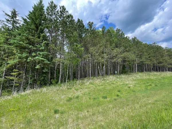 TBD N Plantangenet RD SE, Bemidji, MN 56601