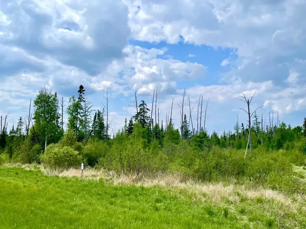 TBD N Plantangenet RD SE, Bemidji, MN 56601