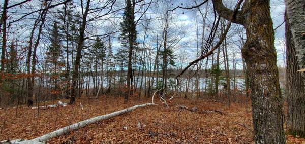 TBD - Tract 3 Ticonderoga TRL, Hackensack, MN 56425