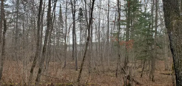 TBD - Tract 3 Ticonderoga TRL, Hackensack, MN 56425