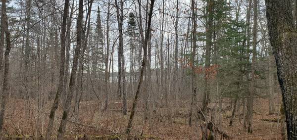 TBD - Tract 3 Ticonderoga TRL, Hackensack, MN 56425