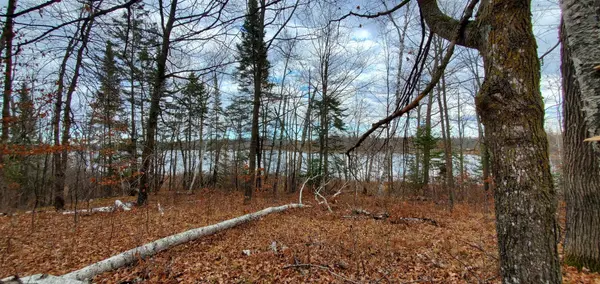 TBD - Parcel B Ticonderoga TRL, Hackensack, MN 56452