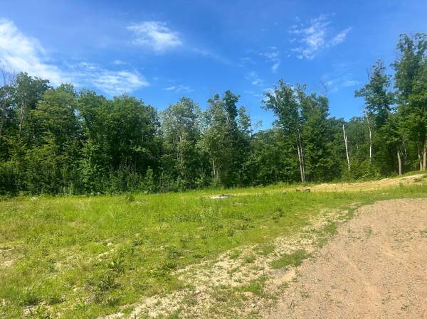 27536 Norway TRL, Randall, MN 56475