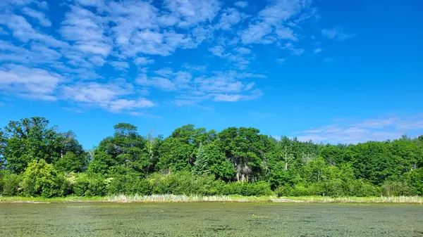 TBD Brush Lake Lane, Park Rapids, MN 56470