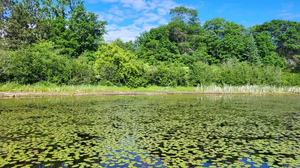TBD Brush Lake Lane, Park Rapids, MN 56470