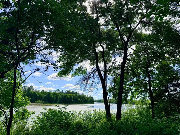 TBD Brush Lake Lane, Park Rapids, MN 56470