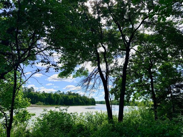 TBD Brush Lake Lane, Park Rapids, MN 56470