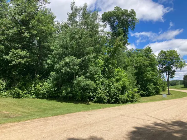 TBD Parview LN NE, Alexandria, MN 56308