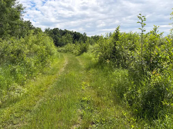 20XX Quail ST, Mora, MN 55051