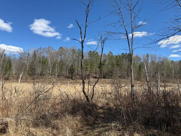 41174 Yellow Birch LN, Emily, MN 56447