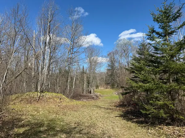 41174 Yellow Birch LN, Emily, MN 56447