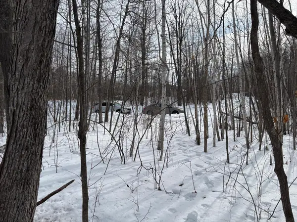 TBD Fawn TRL NE, Longville, MN 56655