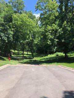 TBD Saratoga ST, Mankato, MN 56001