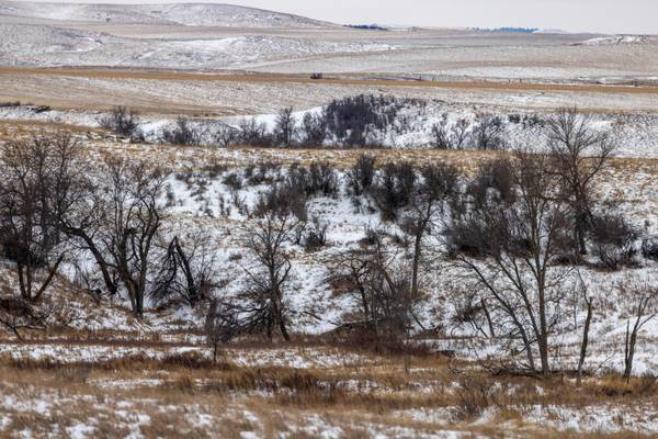 TBD 49 St SW 212a, Hebron, ND 58638