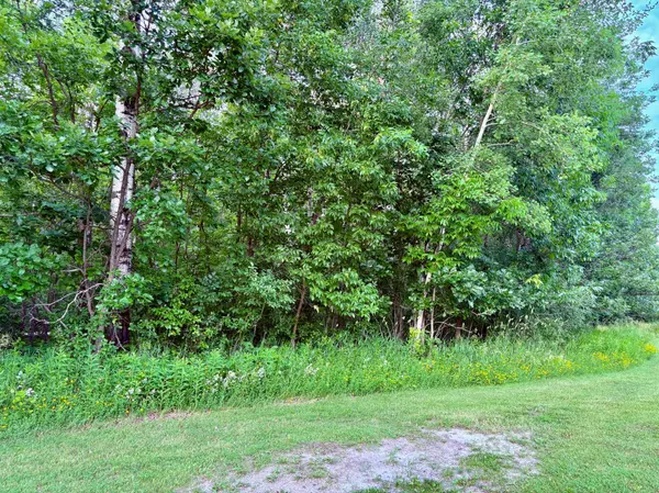 TBD Minnesota Ave NE, Warroad, MN 56763