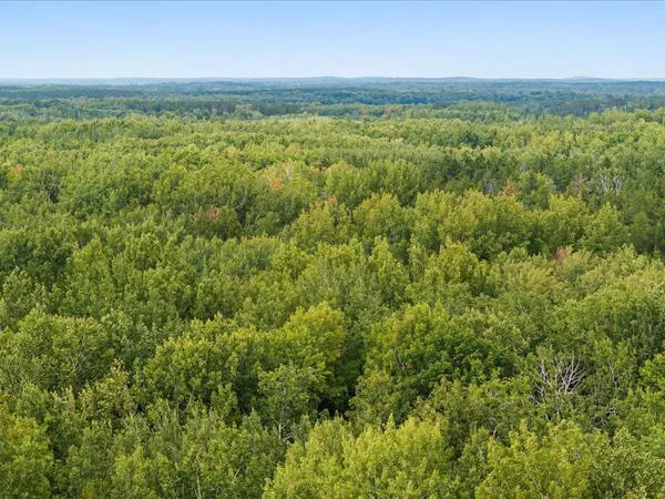 Lot D Sandbar Lane, Merrifield, MN 56465