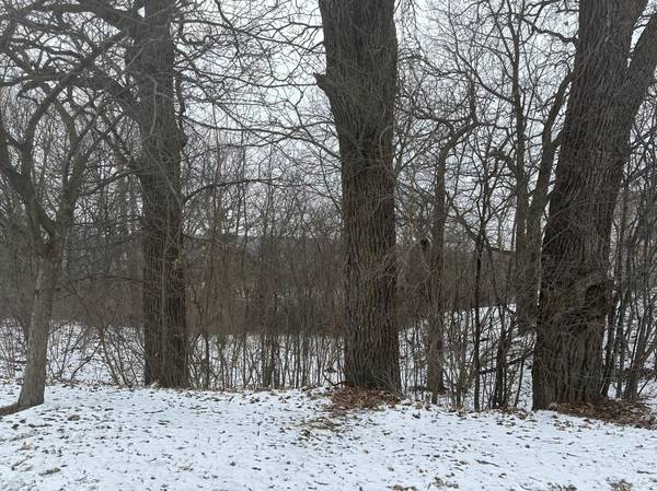 XXXX Salem Heights LN SW, Rochester, MN 55901