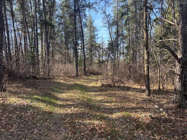 TBD Arbor RD, Park Rapids, MN 56470