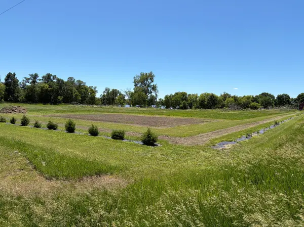 TBD Tripp, Fulda, MN 56131