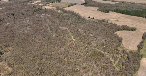 0 Highway 93, Eleva, WI 54738