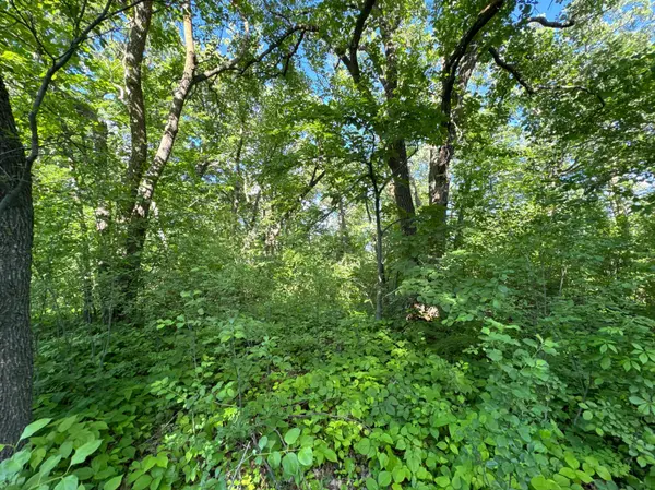 XXXXX German Lake RD, Underwood, MN 56586