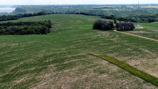 tbd 728th Street, Lake City, MN 55041