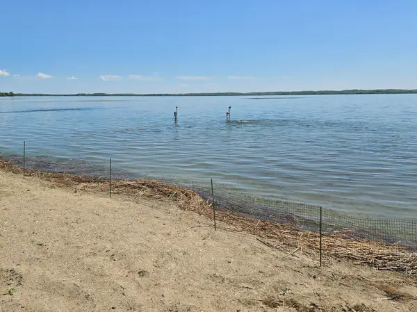 TBD 4 Bass Harbor RD, Pelican Rapids, MN 56572