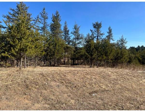 TBD 1st AVE, Breezy Point, MN 56472