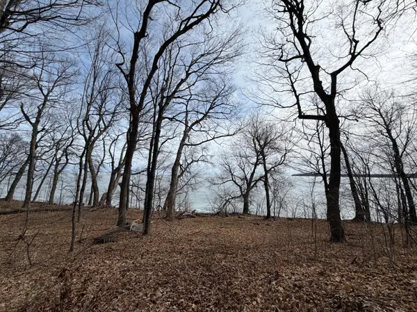 Lot 39&40 Earle Brown Drive, Garrison, MN 56450
