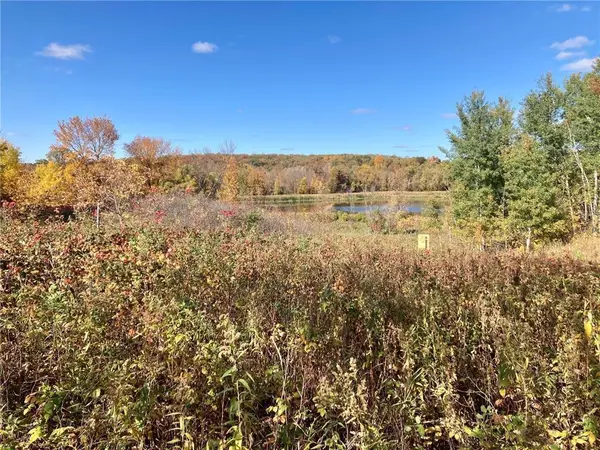 TBD 493rd AVE, New York Mills, MN 56567