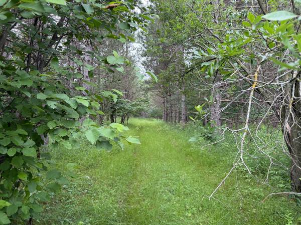 32656 310th ST, Browerville, MN 56438