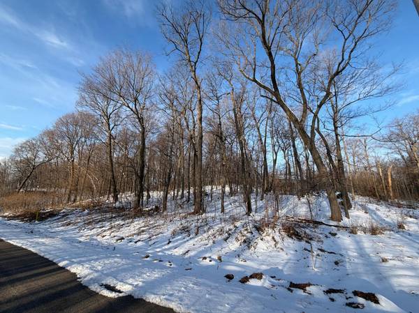 Lots 120 & 121 Earle Brown Drive, Garrison, MN 56450