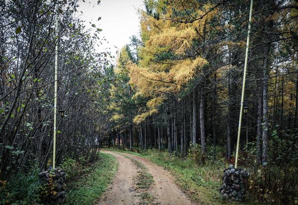 7839 Stromberg RD, Embarrass, MN 55732