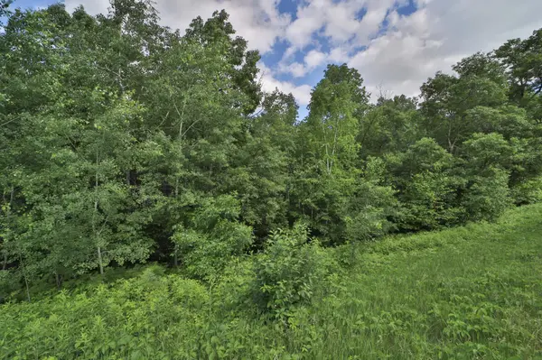 TBD Percheron DR, Breezy Point, MN 56472