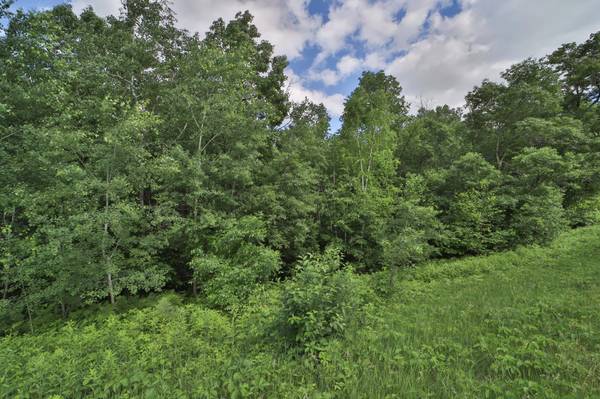 TBD Percheron DR, Breezy Point, MN 56472