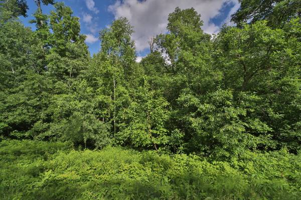 TBD Percheron DR, Breezy Point, MN 56472