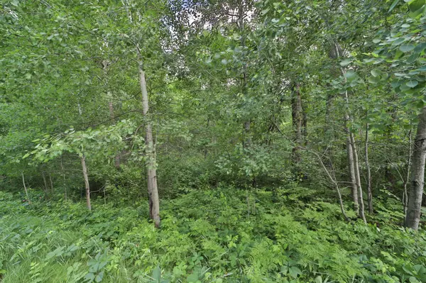 TBD Percheron DR, Breezy Point, MN 56472