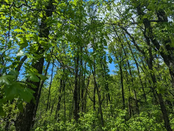 L44 B1 Navaho TRL, Breezy Point, MN 56472