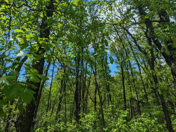 L44 B1 Navaho TRL, Breezy Point, MN 56472