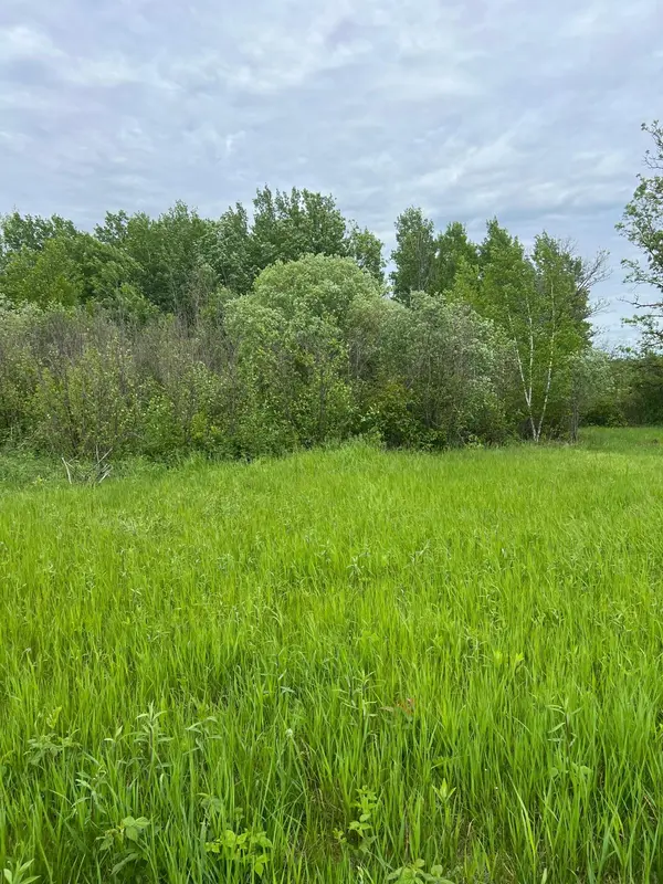 TBD Coneflower LN SW, Pine River, MN 56474