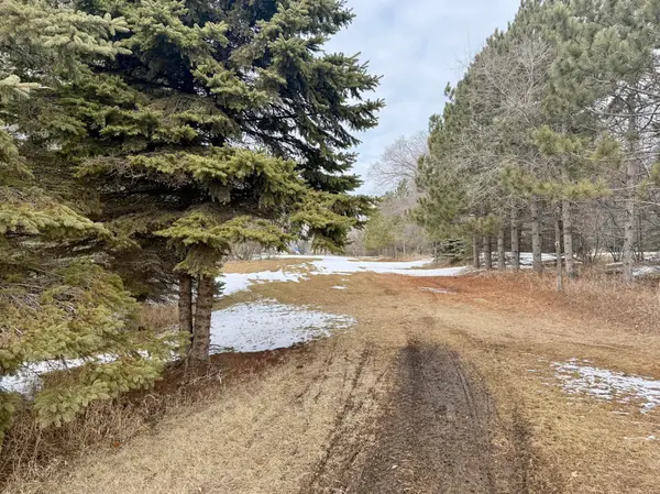TBD Randolph RD, Detroit Lakes, MN 56501